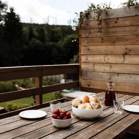 Pod Szarowym Lasem By Interhome Сasa de vacaciones Wisła